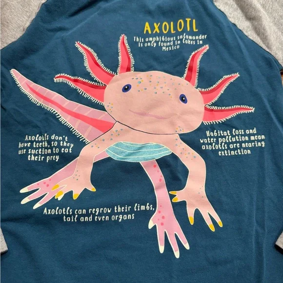 Mini Boden Axolotl Kids Long Sleeve Shirt - Blue and Gray - Picture 2 of 4